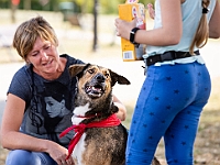 Adoptuj Warszawiaka  Wydarzenie promujące adopcję zwierząt. Organizator: Schronisko dla Bezdomnych Zwierząt "Na Paluchu". 18 sierpnia 2019, Park Raszyński w Raszynie. : park raszyński, adoptuj warszawiaka, na paluchu, schronisko dla zwierząt, centrum warszawy, raszyn